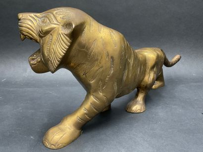 null Sculpture in regula with golden patina representing a roaring Bengal tiger h....