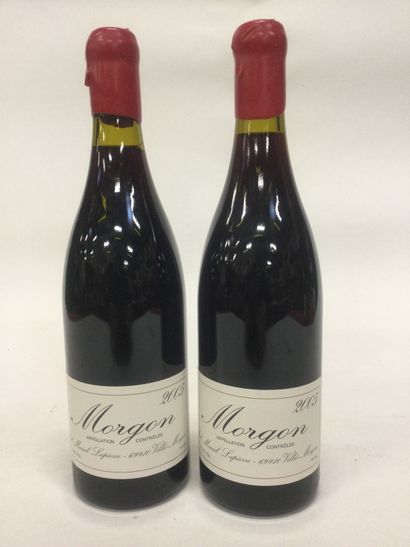 null 2 Bottles MORGON Marcel LAPIERRE 2005