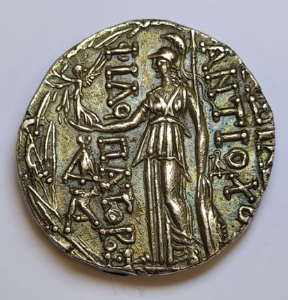 null Monnaie Grecque - Royaume SÉLEUCIDE - ANTIOCHOS IX Cizicène (113-95 av. J.C)...