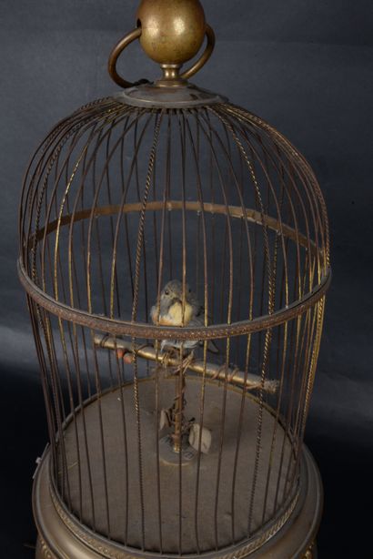 null Mechanical birdcage, brass base. (Problem on the winding) Ht 52 cm