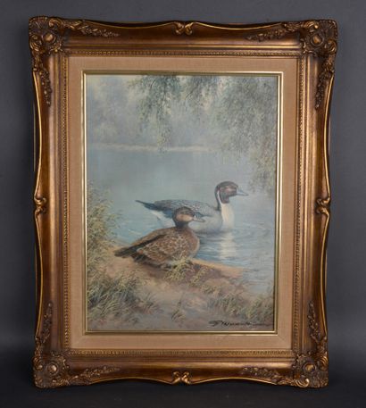 null Printed reproduction of a pair of ducks, Dim. 40 x30 cm