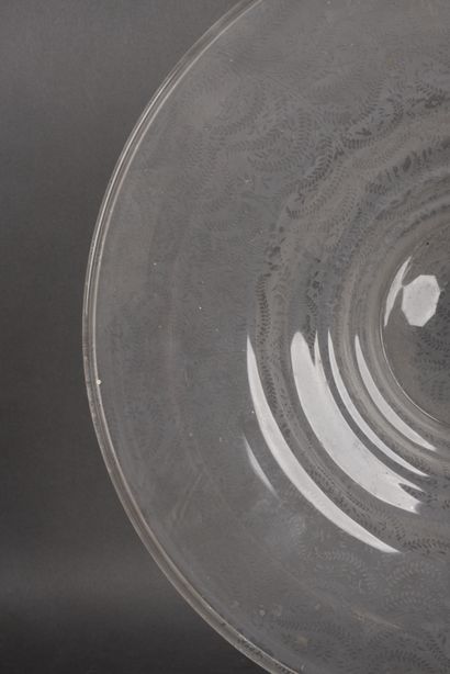 null Elegant glass fruit bowl engraved with foliage, Diam. 41 cm