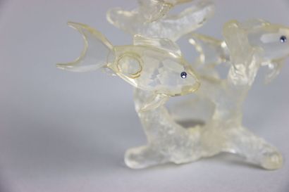null SWAROVSKY. Crystal subject representing fish on a coral. Height: 10 cm.