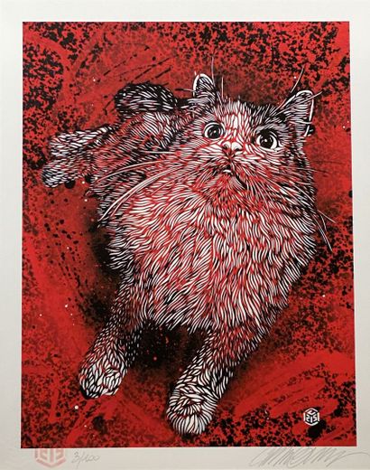 C215 (Christian Guemy) (1973-) "Pristine XL
Digital print on paper 
Signed lower...