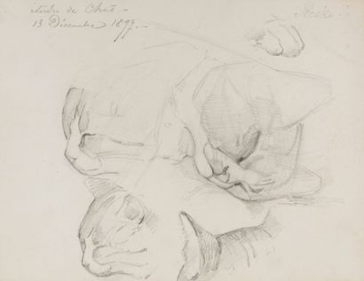 null French school circa 1900
Study of cats 
Black pencil
Dated upper left December...