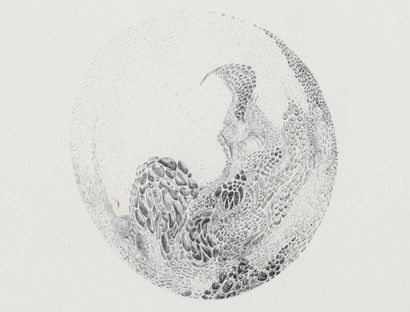 null ANNICK MALSOUTE (born 1939). Balade pour oiseaux-bulles. Ink. Titled below,...