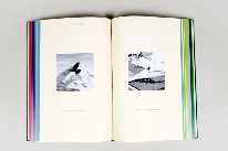 null TARYN SIMON (photographe américaine née en 1975). Birds of the West Indies &...