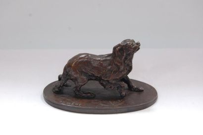 null MENE P.J. : "Petit chien" Bronze signé (Long 15 cm / Haut 8 cm)