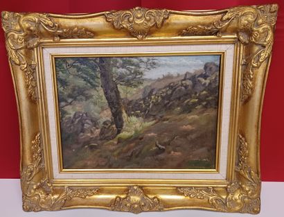 Armand GUILLAUMIN Attributed to Armand GUILLAUMIN (1841-1927)
Landscape
Oil on canvas
Signed... Gazette Drouot