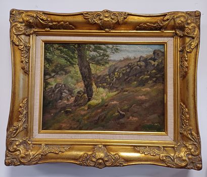 Armand Guillaumin Armand Guillaumin ( 1841 - 1927 )
Creuse landscape
Oil on canvas
Signed... Gazette Drouot
