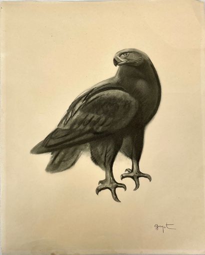 null Georges Lucien GUYOT (1885-1973) d'après
Aigle royal
Impression sur papier,...