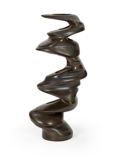 Anthony CRAGG dit Tony CRAGG (1949 - )
Composition,...