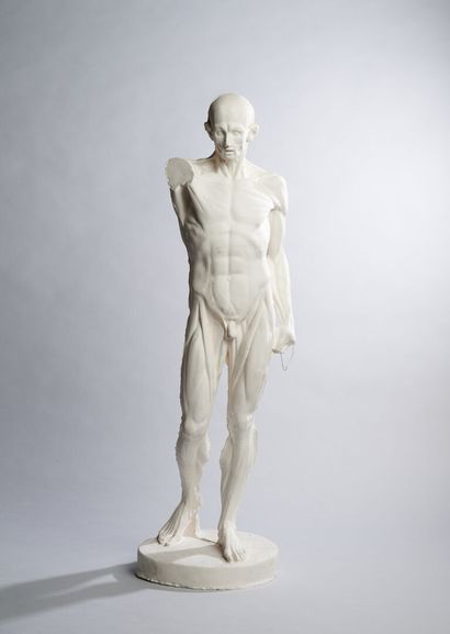 Homme écorché debout Atelier GUERRINI, d'après une oeuvre de Jean-Antoine HOUDON... Gazette Drouot