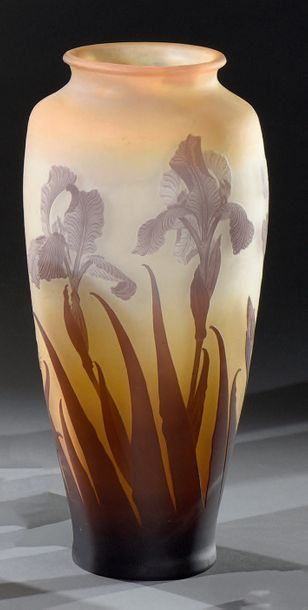 Établissements GALLÉ (1904-1936) Vol de papillons parmi des Iris
Spectaculaire vase...