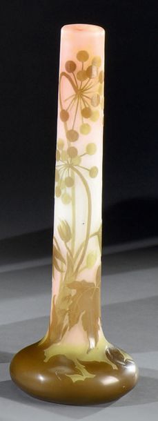 Établissements GALLÉ (1904-1936) Aralias du Japon
Important vase oignon; la panse...