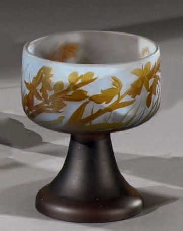 Établissements GALLÉ (1904-1936) Orchidées sauvages
Vase calice.
Épreuve en verre...