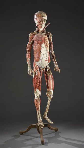 null Ecorché anatomique en caron maché du Docteur AUZOUX Fin du XIXe siècle H. 136...
