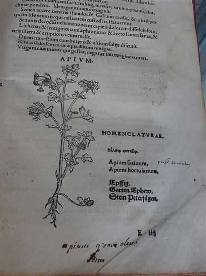 null DORSTENIUS (Theodor Dorsten, dit) - Botanicum Francfort, 1540 1 vol, reliure...
