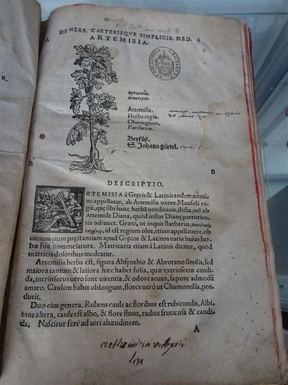 null DORSTENIUS (Theodor Dorsten, dit) - Botanicum Francfort, 1540 1 vol, reliure...