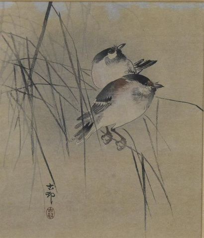 null CHINESE School of the 20th century Ink, wash and watercolour trendy birds, signed...