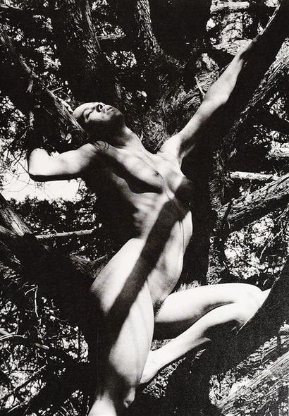 null CLERGUE (L) - ARRABAL (F). JEWEL OF THE SPASM. Naked of Lucien Clergue. Tattooed...