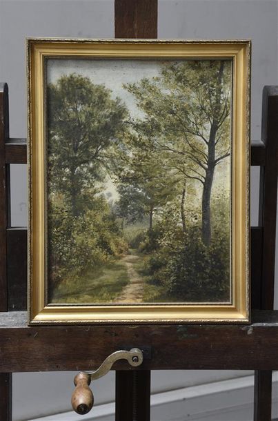 null Ecole FRANCAISE du XIXe siècle Chemin forestier Huile sur toile H. 46 cm L....
