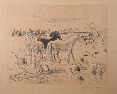 null Yves BRAYER (1907-1990) Chevaux sauvages en Camargue Eau-forte signée en bas...