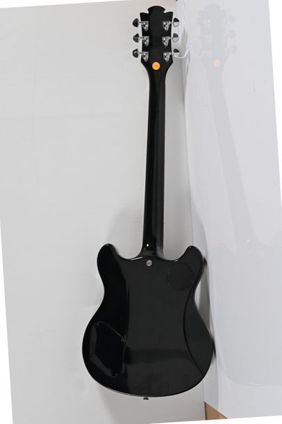 null Guitare EKO M24, Italie, Special Mera, 2 micros, noire avec valise
