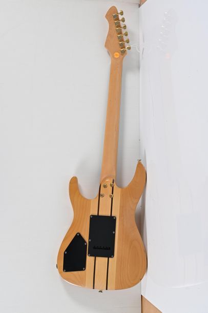 null Guitare HOHNER HS 90 SN, 3 micros, manche vissé, naturelle avec valise