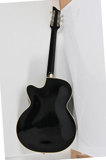  Guitare Allemande, demi-caisse, 2 micros, noire avec housse