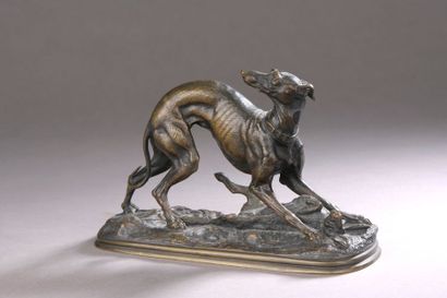 null Jules MOIGNEZ ( 1835 - 1894) Lévrier au lièvre Épreuve en bronze à patine brun...