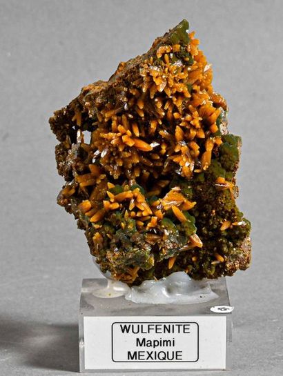 null WULFENITE MAPIMI Mexique (9cm)