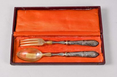 null Salad servers, silver handles filled, spoon and fork in Minerve composition...