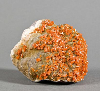 null WULFENITE LOS LAMENTOS Mexico (13cm)