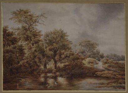 null TAVERNIER DE JUNQUIERES (1742 - ?)
Paysage. 
Dessin lavis de bistre et de gris....