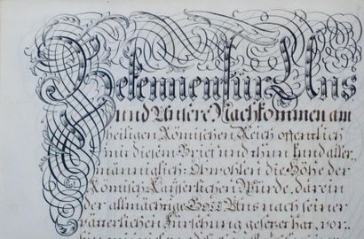 [NOBLESSE - ALLEMAGNE]. Manuscrit allemand contenant des lettres de noblesse d'Hartmann...