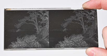 null 452 Negative stereoscopic views in their original boxes, c. 1930 6 x 13 cm.

Landscapes...