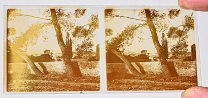 null Monumental set of more than 1300 positive and negative stereoscopic plates,
c....