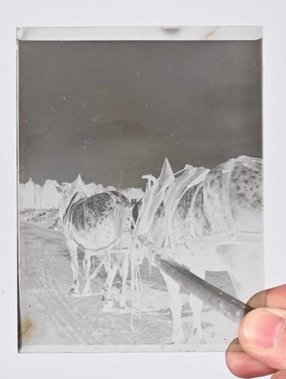 null FORT LOT OF NEGATIVES ON MONO GLASS XIXth XXth 
Landscapes, Rivers, Castles,...