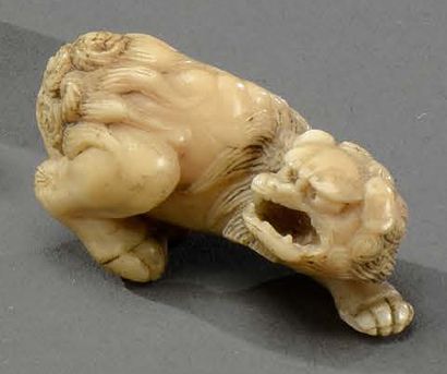 JAPON - Époque EDO (1603-1868) 
**Lying Fo dog, ivory netsuke
L. 4 cm - Weight: 16.3...