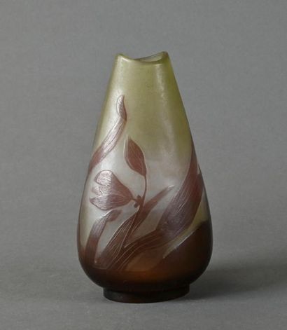 null Établissements GALLÉ (1904-1936)
Tulipes
Vase piriforme méplat au col barquette.
Épreuve...