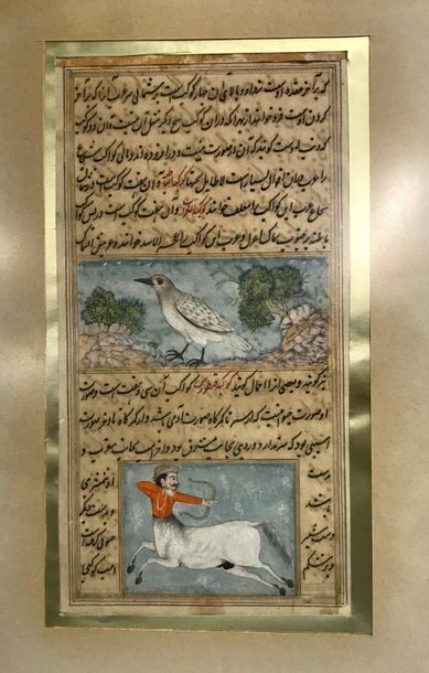 null *IRAN, XVIIe siècle ? 
Miniature illustrée d'un oiseau et d'un cheval à tête...