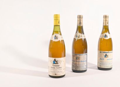 null 1 - B - BÂTARD-MONTRACHET (Grand Cru) a.o.; clm.s. - Henri Clerc & Fils - 1996
1...