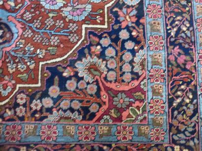 null Tapis Sarouk (chaîne et trame en coton, velours en laine), centre de la Perse,...