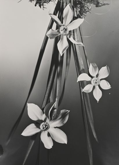 TAIRRAZ Pierre (1933 - 2000) Études de fleurs, c. 1970

Chardons, Edelweiss…

5 tirages...