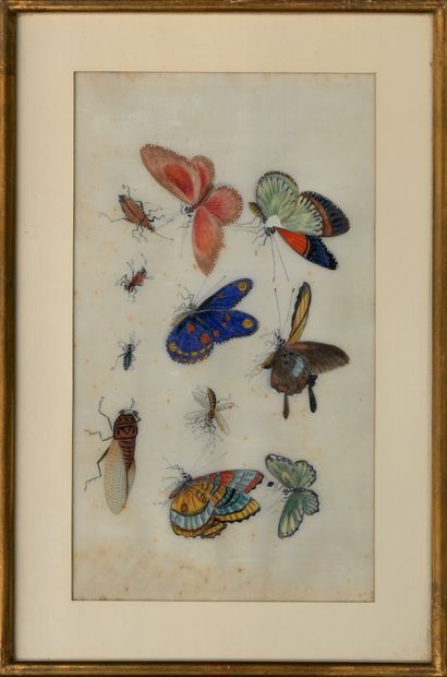 VIETNAM - vers 1880 Peinture sur papier de riz, figurant des papillons, cigales,...