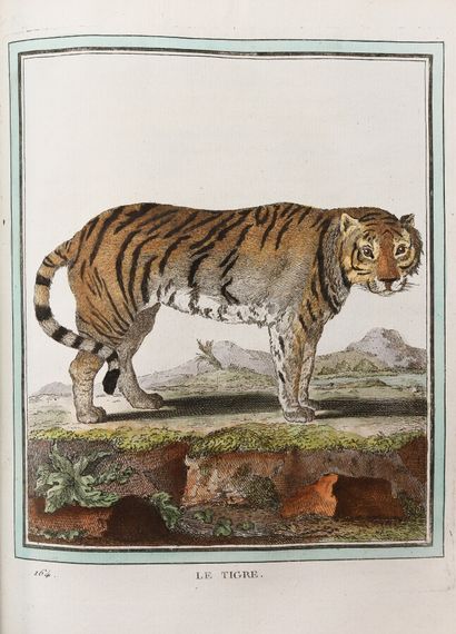 null BUFFON. General and particular natural history with the description of the King's...