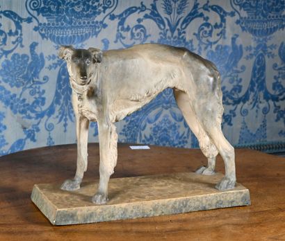 null DRESDEN, SCHÖN & CO.

Greyhound 

Terracotta edition proof

H. 27 cm W. 30 cm...