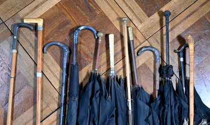 null Lot of umbrellas and canes