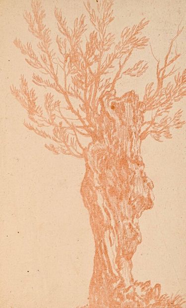 null French school of the 18th century 

5 tree studies. Counter proofs of blood...